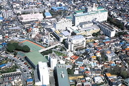 日本大学医学部形成外科学系形成外科学分野