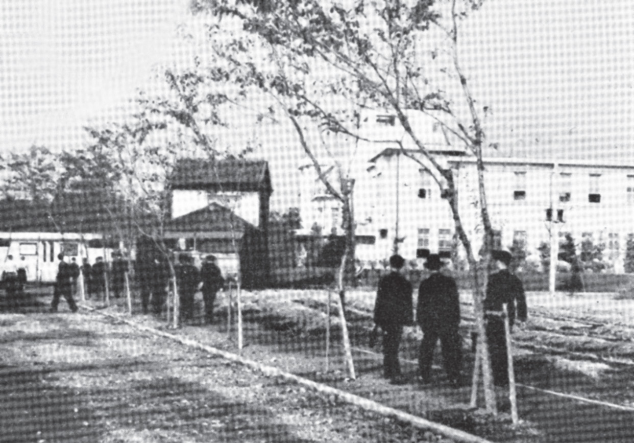 桜並木を板橋新校舎(右奥)に向かう学生たち