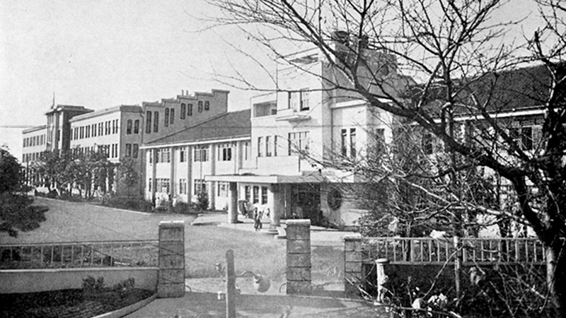 フォトギャラリー