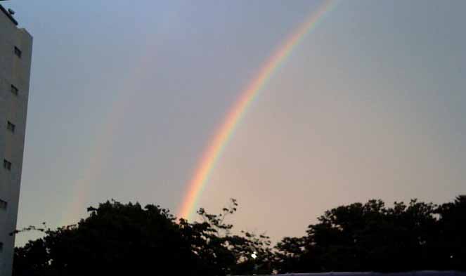 20090727.jpg
