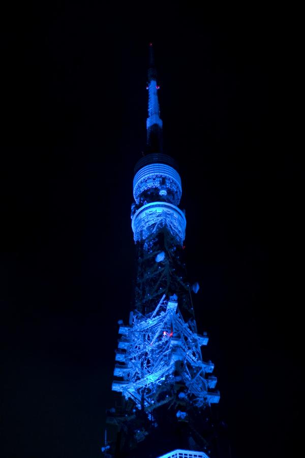 TokyoTower_MG_4101_convert_20081223105434.jpg