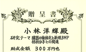 日付