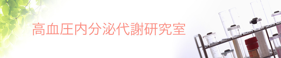 高血圧内分泌代謝研究室見出し画像