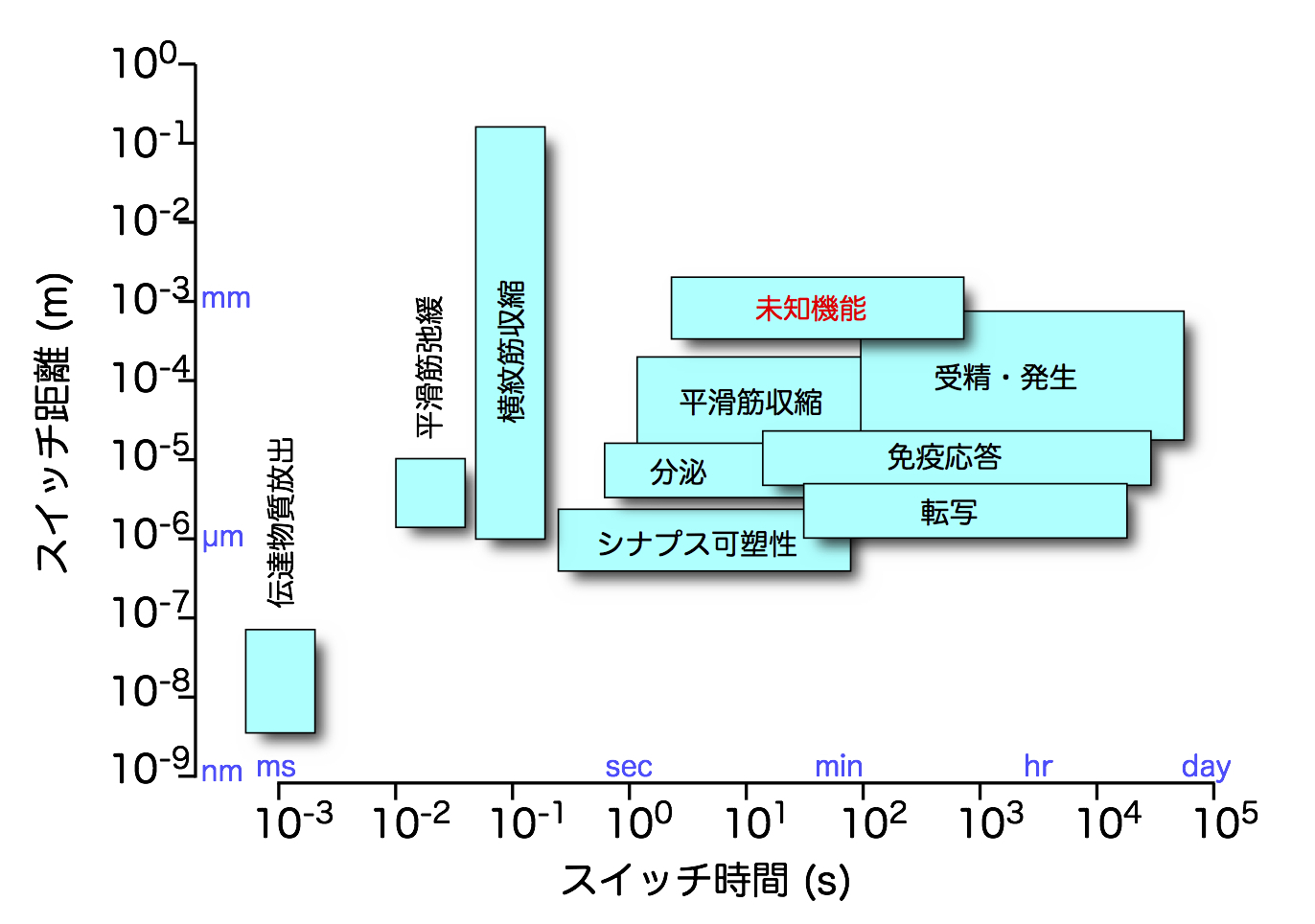 Ca2+シグナルの多機能性と未知機能