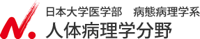 日本大学医学部　病態病理学系　人体病理学分野