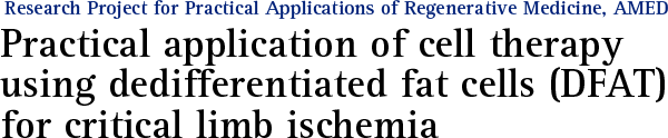 Practical application of cell therapy using dedifferentiated fat cells (DFAT) for critical limb ischemia