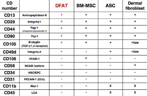 DFATの細胞表面抗原プロファイル