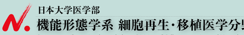 日本大学医学部　機能形態学系細胞再生・移植医学分野