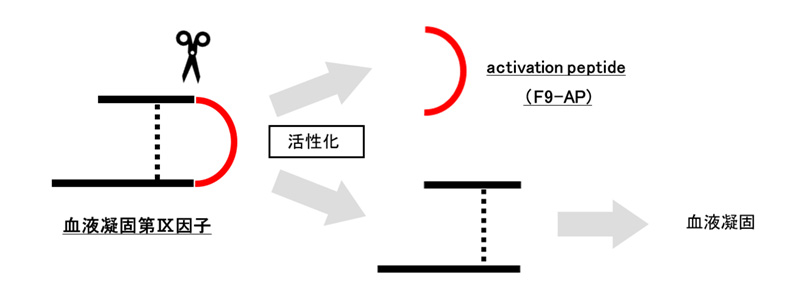 カンボジアでの口腔内検診