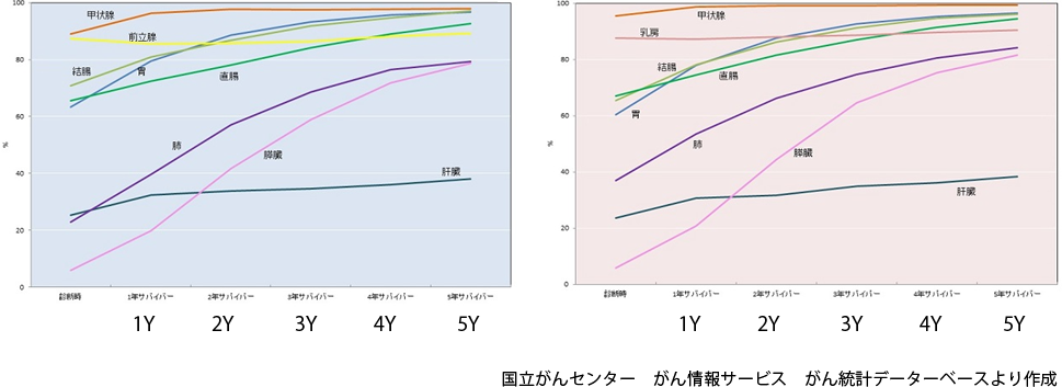 部位別相対生存率 死亡者数