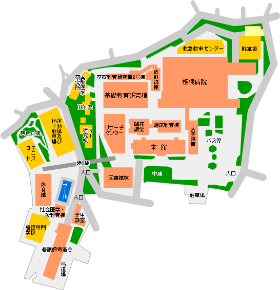 大 医学部 日 千葉大学大学院医学研究院・医学部 ::