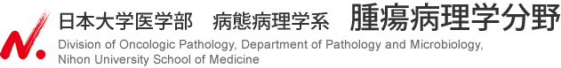 日本大学医学部　病態病理学系　腫瘍病理学分野